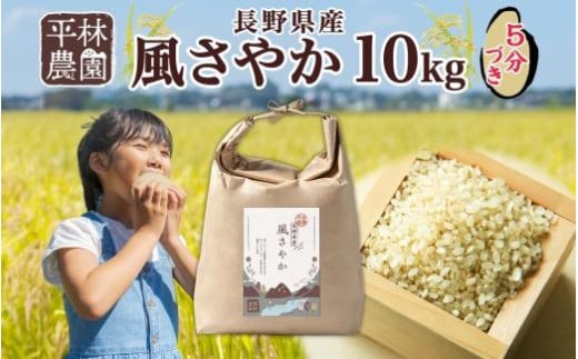 ＜新米予約＞令和6年産 風さやか 5分づき米 10kg×1袋 長野県産 米 お米 ごはん ライス 分つき米 農家直送 産直 信州 人気 ギフト お取り寄せ 平林農園 送料無料 長野県 大町市