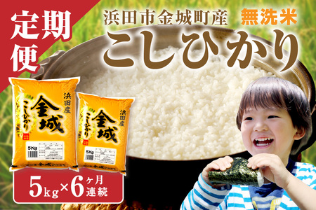 【令和6年産】【定期便】無洗米　浜田市金城町産こしひかり　５Ｋｇ×６回コース 米 白米 精米 新生活応援 お取り寄せ 生活応援 応援 準備 コシヒカリ 一等米 米 定期便 お米 無洗米  【1266】