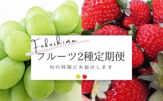 
No.2276【先行予約】フルーツ2種定期便 シャインマスカット/いちご【2024年～2025年発送】
