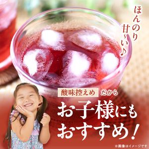 飲むブルーベリー酢　300ml×2本_お酢 ドリンク ブルーベリー 300ml 2本 飲むお酢 ブルーベリー酢 甘くて飲みやすい 希釈 3倍～5倍 果汁 アントシアニン 疲れ目予防 腸内環境改善 簡単
