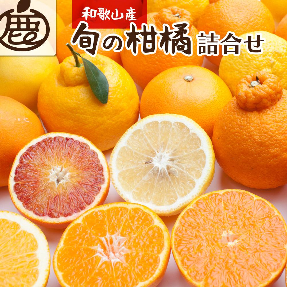 ［先行予約］厳選 柑橘詰合せ2.5kg+250g（傷み補償分）［有田の春みかん詰め合わせ・フルーツ詰め合せ・オレンジつめあわせ］［光センサー選別］［IKE115］