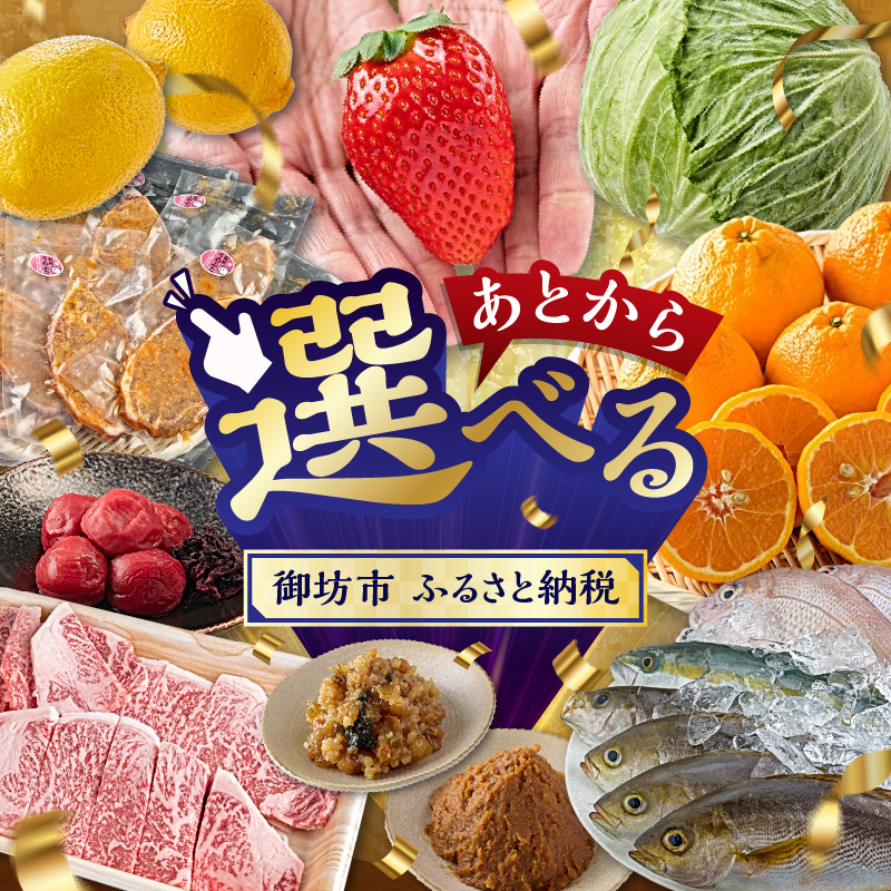 【9998-13】あとからセレクト【ふるさとギフト】寄附45万円相当