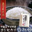 【ふるさと納税】【定期便】魚沼十日町コシヒカリ5kg【ギフト】 x 6回　【定期便・お米・コシヒカリ】