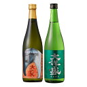 【ふるさと納税】大洋盛セットSTJ（720ml飲み比べ2本セット）日本酒 淡麗辛口 新潟県 清酒 地酒 大洋酒造 和食 冷や 熱燗 ぬる燗 越後 新潟県 村上市 1009004