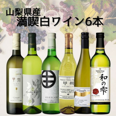 【ふるさと納税】山梨県産ワイン満喫白6本セット(3)007【配送不可地域：離島】【1606801】