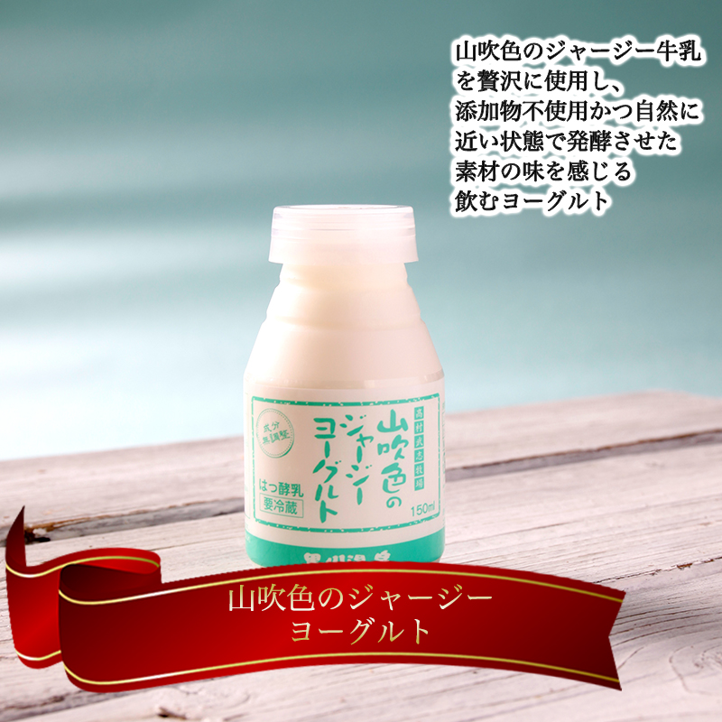 【山のいぶき】山吹色のジャージーヨーグルト 食べきりセット 飲むヨーグルト プレーンヨーグルト ざらめ 各4本 計12本 乳脂肪分 5％以上 低温殺菌 素材の味 ジャージー牛乳 ギフト 贈答 FOODEX JAPAN ご当地ヨーグルトグランプリ 金賞 熊本 阿蘇 小国郷