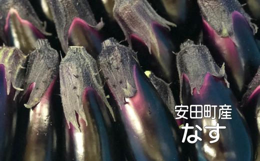 
            KM-02◆収穫したその日に発送する新鮮ナスたっぷり便（約50本程度）
          