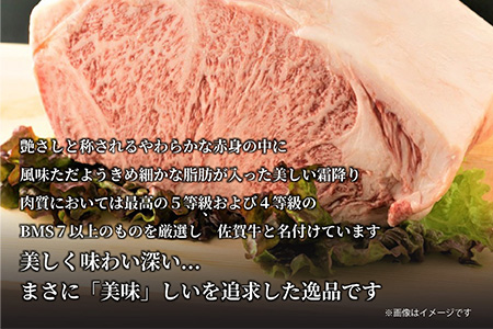 艶さし！佐賀牛サーロインステーキ 250g×1枚 ステーキ
