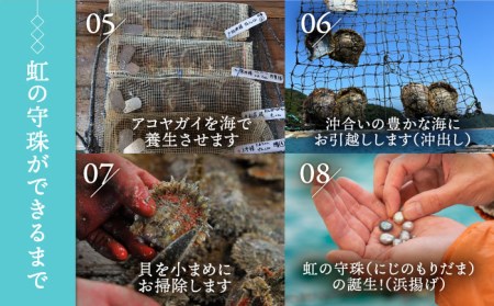 真珠葬 / ペット 供養 遺骨 真珠 思い出 五島市 / ウービィー株式会社 [PEZ001]