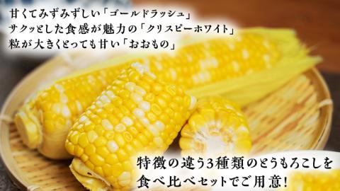 【 先行予約・7月中旬以降発送 】 【 訳あり 】 加熱調理済み 真空 とうもろこし 3品種 食べ比べ セット（ ゴールドラッシュ＆クリスピーホワイト＆おおもの ） 約3kg [AU076ya]