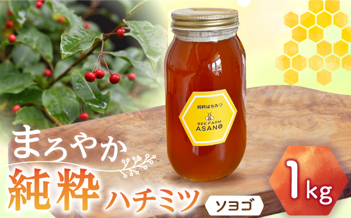 
                  純粋ハチミツ ソヨゴ 1,000g×1 瑞浪市 / honey shop Bee farm asano 蜂蜜 はちみつ [AZBT012]
                