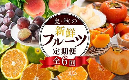 【定期便全6回】夏・秋の新鮮フルーツ定期便 ［TM203］