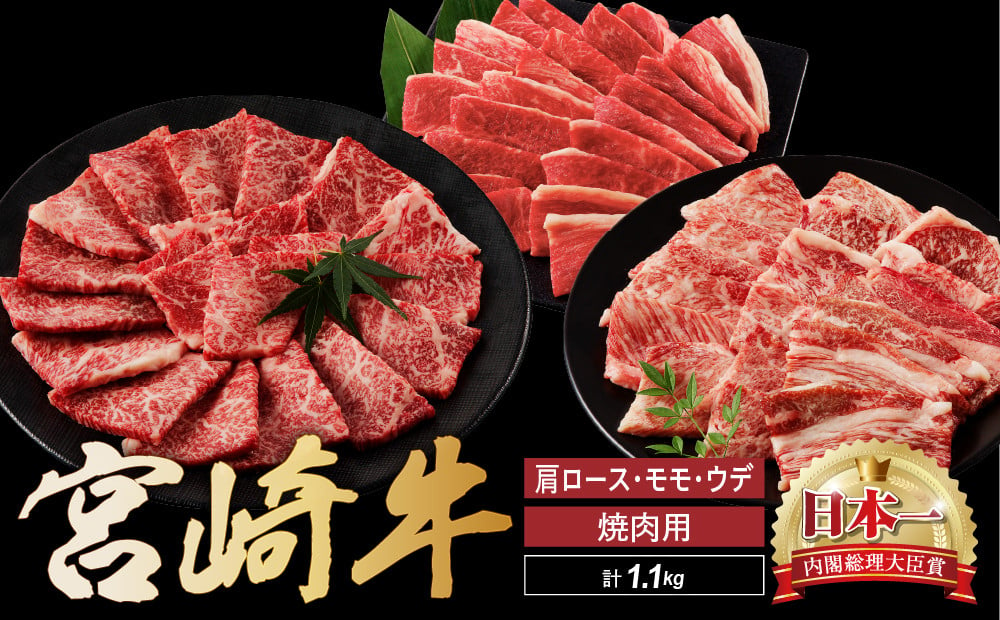 
宮崎牛 焼肉 食べ比べ セット 1.1kg 牛肉 肉 国産 焼き肉 スライス 小分け 赤身 ブランド牛 ギフト 贈り物 九州 宮崎 霜降り 赤身（01-64）
