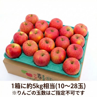 【26年11月から発送】平均糖度13度以上! 蜜入り 葉とらずサンふじ 約5kg 訳あり 青森りんご【配送不可地域：離島・沖縄県】