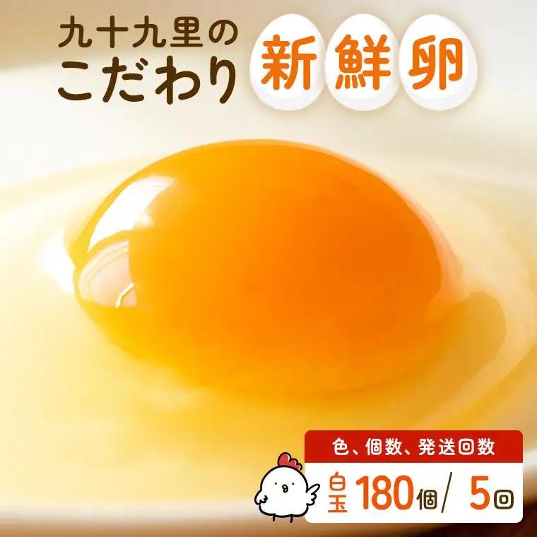 【定期便5回】九十九里ファームこだわりたまご贈答用 180個 ～あおい海・みどりの里～《白玉》 たまご 卵 玉子 タマゴ 白玉 卵かけご飯 新鮮 旨み 甘み 贈答用 贈答 ギフト 贈り物 千葉県 匝瑳市