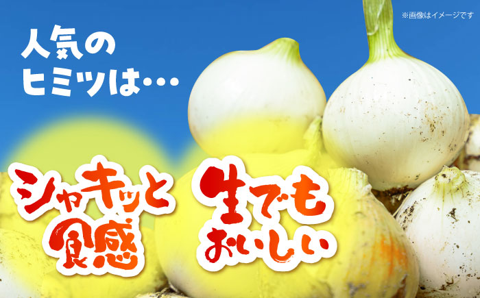 【今が旬!】 訳あり 新玉ねぎ 10kg（小玉）【えぐちファーム】 不揃い たまねぎ [HDE002]