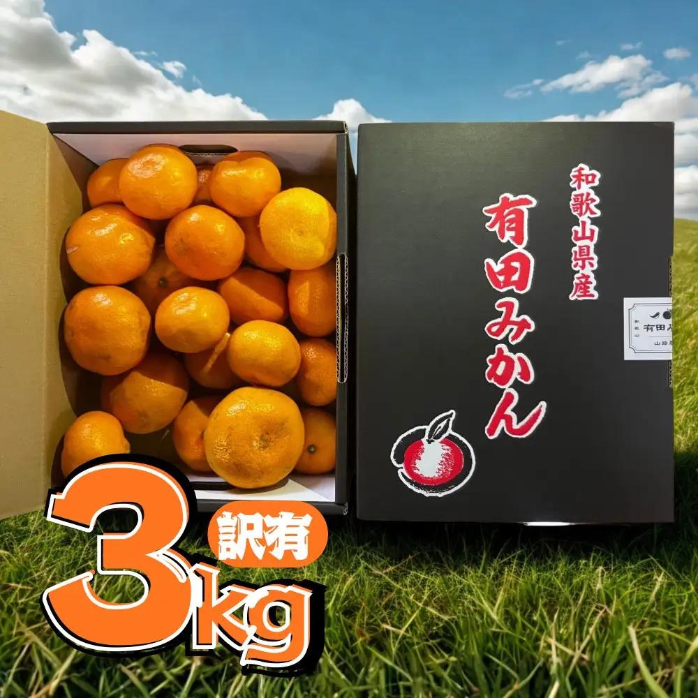 有田みかん 約3kg みかん 家庭用 訳あり