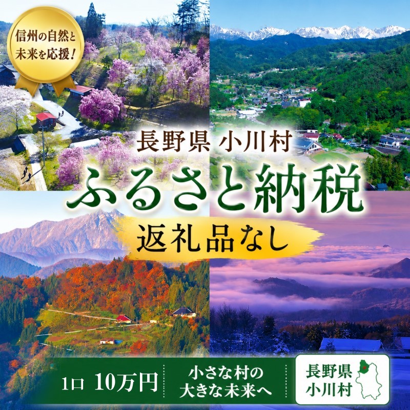 【ふるさと納税】003＊小川村ふるさと納税応援寄附金　返礼品なし