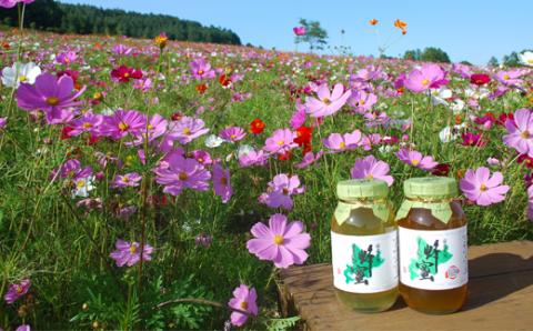 国産天然 しんかい蜂蜜ギフトセット (150g×3本) ( ふるさと納税 はちみつ アカシア蜂蜜 クローバー蜂蜜 トチ蜂蜜 プレゼント ギフト 北海道 遠軽町 株式会社 新海養蜂場 )