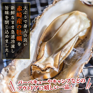 殻付き牡蠣 12個 カンカン焼きのおかわり 加熱用