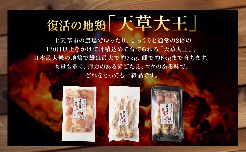 天草大王プレミアムバーベキューセット（大） 計12パック 天草大王 焼鳥 モモ ムネ 皮 手羽先  串 コロコロカット