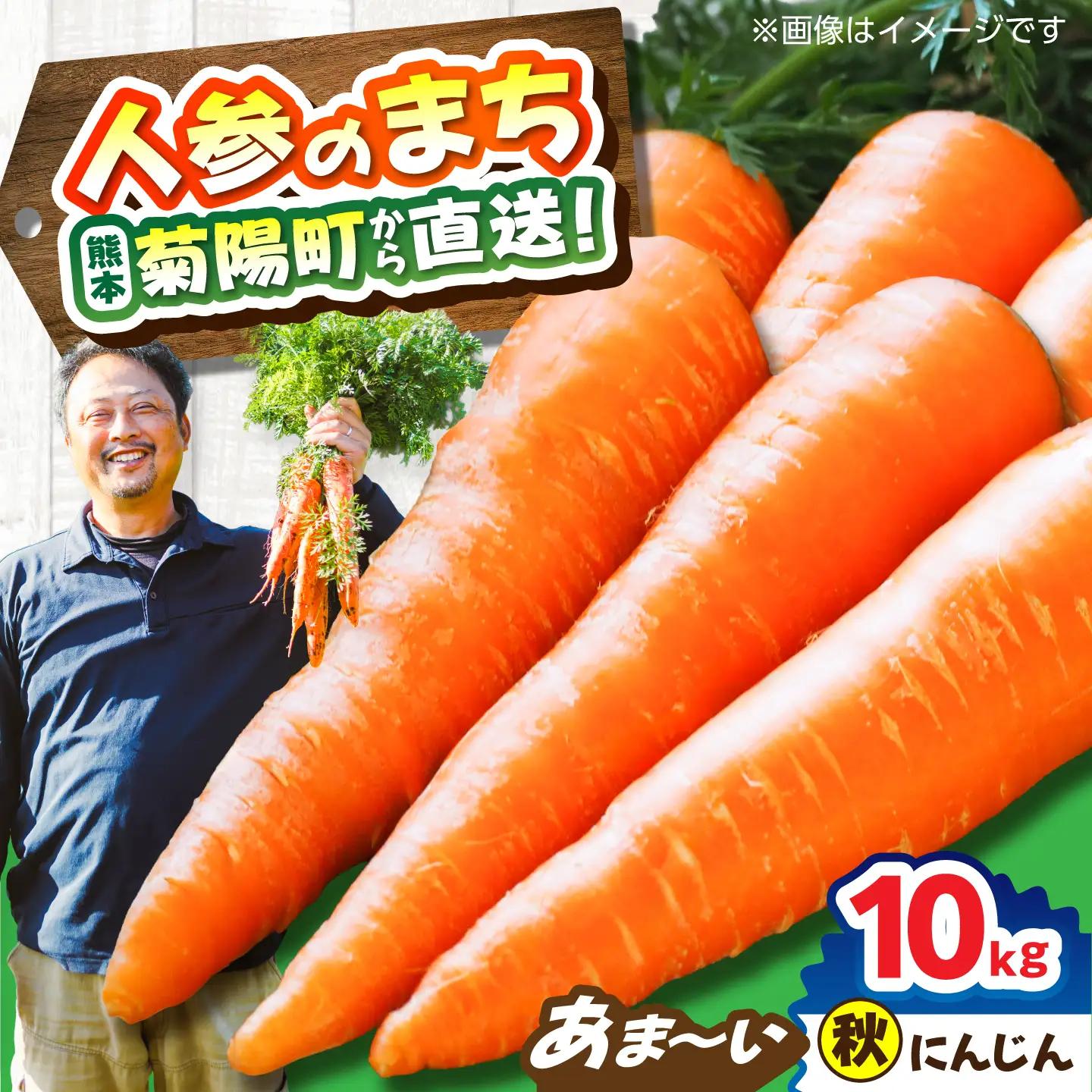 先行予約 12月中旬より順次発送 菊陽秋冬にんじん 秀品 約10kg / にんじん BHDH009