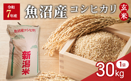 令和7年産　玄米　魚沼産コシヒカリ　30kg　1袋