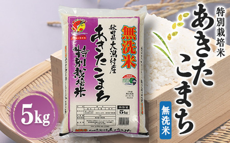 あきたこまち特別栽培・無洗米(精米)5kg【配送不可地域：離島・沖縄県】【1071236】
