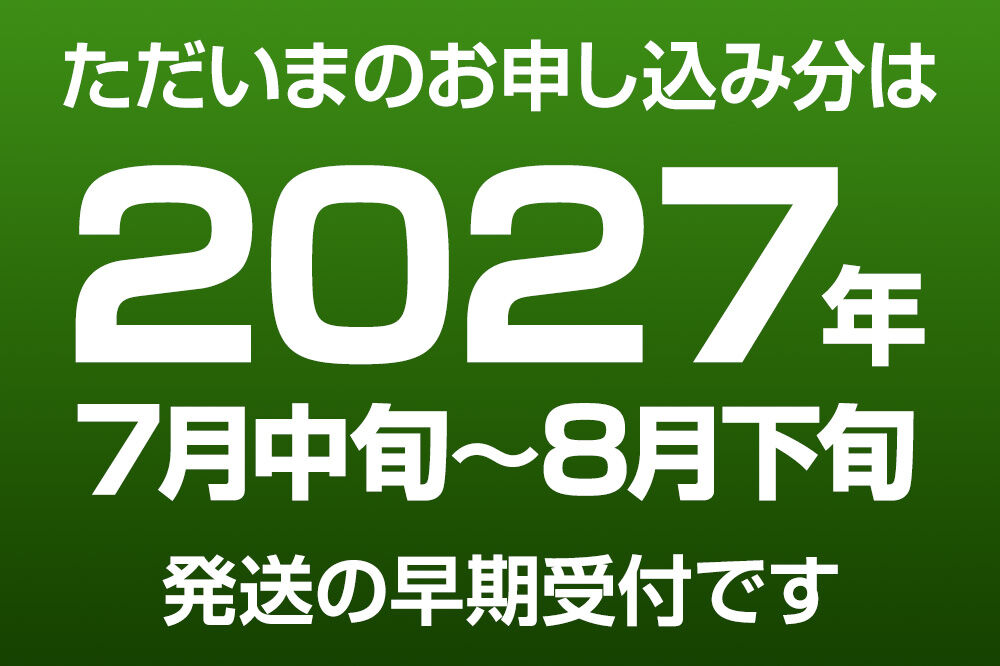 ババヘラ・バラ盛り(3個)メロンバラ盛り(3個)セット【進藤冷菓】 ご当地アイス [ババヘラ アイス メロン バラ盛り]|23_sdr-050601_イメージ3