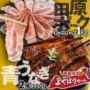 【ふるさと納税】幻の青うなぎ ＆ 田原ポーク セット うなぎ 訳あり 蒲焼 2尾 国産 豚肉 食べ比べ 500g × 2 計 1kg ウナギ 鰻 蒲焼き 最高級 長蒲焼 特大サイズ 楽天限定 土用丑の日 丑の日 簡単調理 惣菜 小分け 個包装 unagi 送料無料