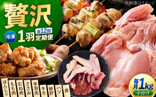【全12回定期便】鶏肉 一黒シャモ 1羽まるごと 約1kg 冷凍 江田島市／ポーク＆チキン江田島[XAH010]｜鶏肉 とり肉 地鶏 シャモ 軍鶏 冷凍 加熱用 国産 鶏肉 シャモ 料理用 とり肉 蒸し鶏 炭火焼き鳥 鶏鍋 江田島 広島 人気 おすすめ お取り寄せ