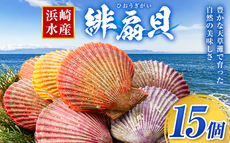 【西日本限定発送】浜崎水産の緋扇貝 15個 《12月上旬‐12月末出荷》 【配送不可地域あり】 海鮮 海産物 海の幸 魚貝類 シーフード 貝 貝類 緋扇貝 浜崎水産 贈答 熊本県 苓北町---d05r605---