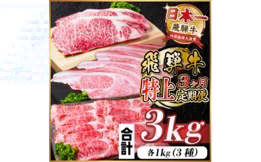 飛騨牛　特上　3ヶ月定期便 計3kg　A4～A5等級　＜冷凍便＞　黒毛和牛　小分け【4057132】