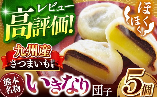和水 いきなり団子 5個 | 熊本県 熊本 くまもと 和水町 なごみまち なごみ お菓子 和菓子 郷土料理 団子 あんこ さつまいも あん 5個