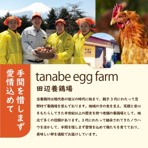 ”忍野の卵”旨味のピンク玉※卵25個+割れ保障5個　計30個