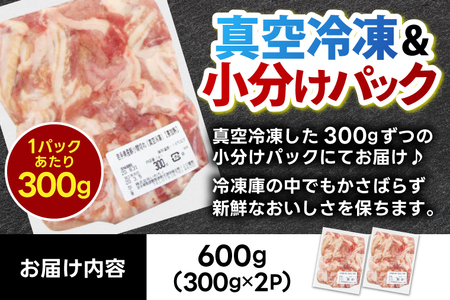 【岩手県産豚肉】小間切れ600g (300g×2パック) 大容量 肉 冷凍 小分け しゃぶしゃぶ 焼肉 お弁当 おかず 岩手 いわちく 紫波町（AB133）