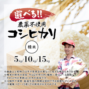 棚田米10kg 精米 コシヒカリ 栽培期間中農薬不使用 京都産【新米9月下旬発送予定】