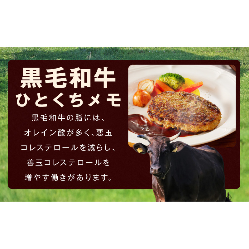 黒毛和牛100％ 極み生ハンバーグ（180g）×20個 CFX0002_イメージ5