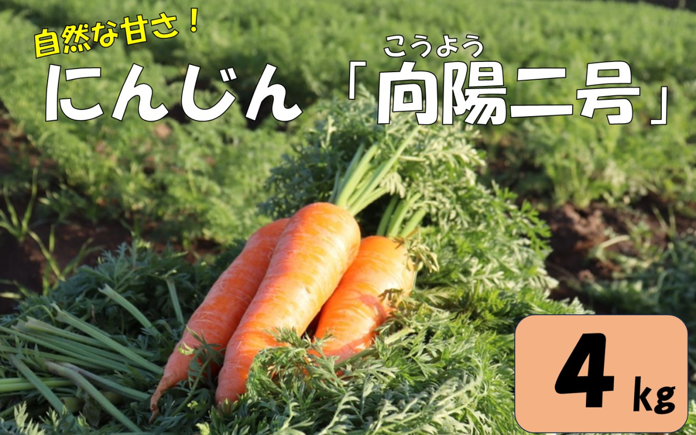 
                  【先行予約】農家直送 人参 向陽二号 A品 4kg 【2026年12月上旬-2027年2月下旬発送予定】 ZS-790
                