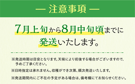 先行予約 伊良湖産 マスクメロン 5玉 2024年7月以降順次発送 箱詰め メロン フルーツ 果物 お中元 お取り寄せ ギフト 渥美半島 田原市 産地直送 送料無料