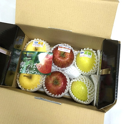 
                  ＜2025年11月～2026年3月発送＞季節のフルーツセット(約5kg)【1073711】
                