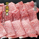 【ふるさと納税】牛肉 飛騨牛 焼き肉 セット 赤身 モモ 又は カタ 300g 黒毛和牛 A5 美味しい お肉 牛 肉 和牛 焼肉 BBQ バーベキュー 【岐阜県池田町】　【 食材 食卓 グルメ 集まり 夕飯 晩御飯 おうち焼肉 焼肉用赤身肉 】