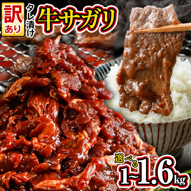 【ふるさと納税】訳あり 選べる 牛肉 牛サガリ 小分け 切り落とし 焼肉 1kg 1.6kg 希少部位 旨だれ お試し 味付け さがり 大容量 真空パック 本場のタレ ハラミ BBQ キャンプ 牛ハラミ 焼くだけ 焼肉 ご飯がすすむ 晩御飯 甘口 丼 焼き肉 不揃い