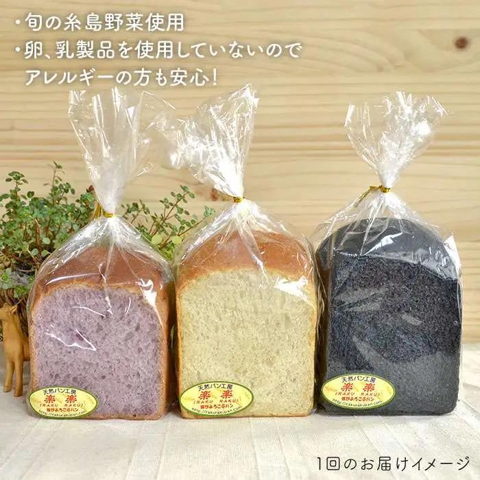 【 全6回 定期便 】身体がよろこぶ 食パン 3種 セット ( 卵 / 乳製品 不使用 )《糸島》【天然パン工房楽楽】【いとしまごころ】[AVC014]