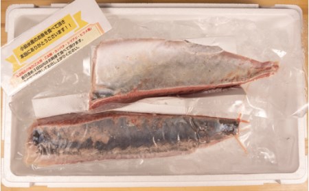 【 ブリ 】 ブリ定期便12ヶ月