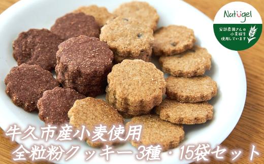 
牛久市産 小麦 全粒粉 の クッキー 15袋セット メープル ココア チョコチップ 甘い おいしい 美味しい スイーツ おうちカフェ お菓子 おやつ お取り寄せ 詰め合わせ セット お土産 プチギフト 贈り物 お祝い ギフト 国産 茨城
