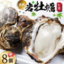 【ふるさと納税】【期間限定発送】ヨコタ礁天然岩牡蠣（生食用）中8個 [望海 石川県 志賀町 BX4016] 岩牡蠣 岩ガキ 岩がき 牡蠣 カキ 期間限定