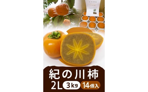 【2026年発送】黒の奇跡☆九度山の紀の川柿 2Lサイズ14個入 約3kg【2026年10月上旬～2026年10月下旬頃順次発送予定】【A-frks184】