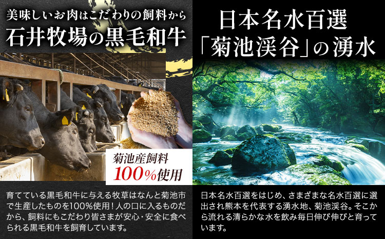 黒毛和牛 切り落とし 約1kg 500g×2パック 牛肉 《90日以内に出荷予定(土日祝除く)》