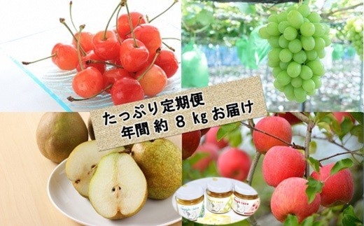 【令和9年産先行予約】 《定期便3回》 くだもの”たっぷり